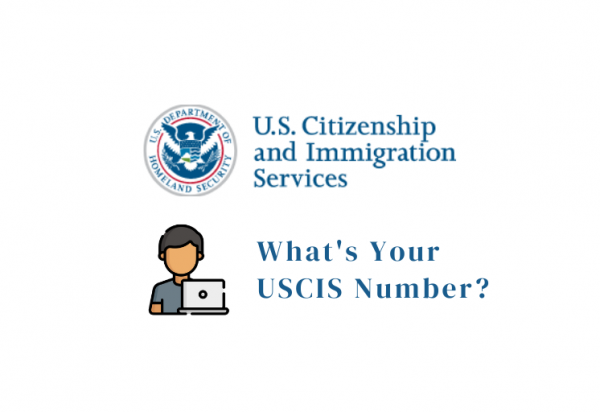 USCIS Online Account Number