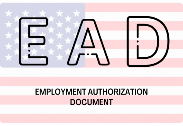 Employment Authorization Document (EAD)